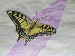 Drawn Pictures